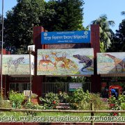 Rangpur Zoo